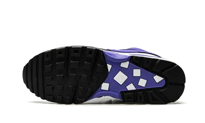 Nike Air Max BW Persian Violet