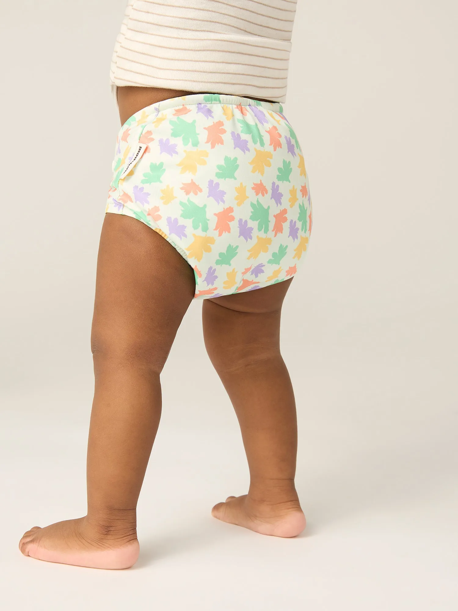 Reusable Nappy 4 Pack Abstract Bright